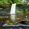 Nonfiction Books to Interest Kids
